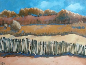 les dunes de Pléhérel plage