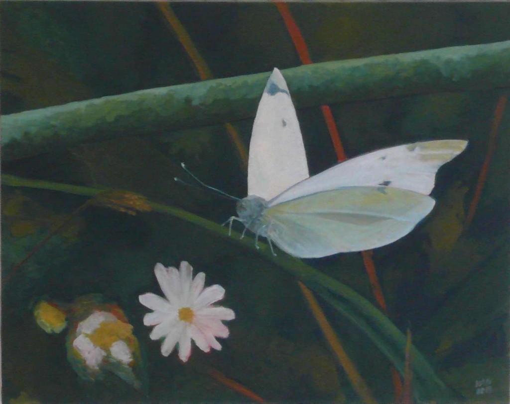 oil on canvas "étude papillon 3"