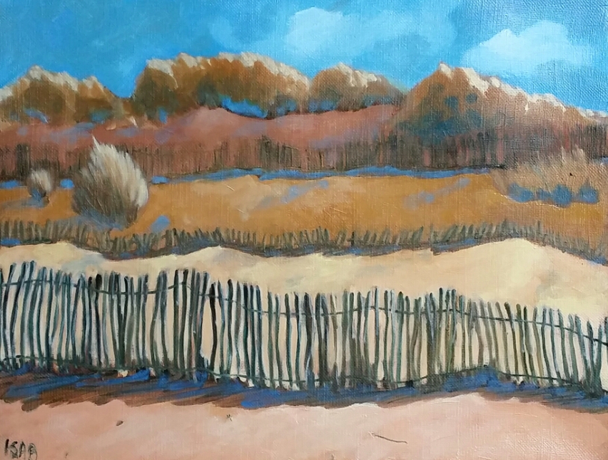 les dunes de Pléhérel plage