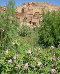Découvrir la vallée des roses au pied du Haut Atlas avec Isabelle Barrandon et son stage "Dessin, méditation, jeûne intermittent et randonnée au Maroc" pour des pages colorées de votre carnet de voyage.